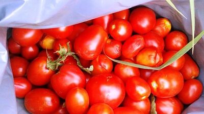 Domatesi çiğ değil böyle kullanın...