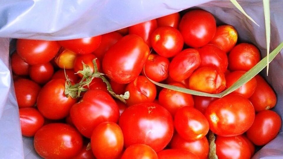 Domatesi çiğ değil böyle kullanın...