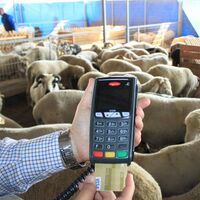 Taksit ya da krediyle kurban kesilir mi?