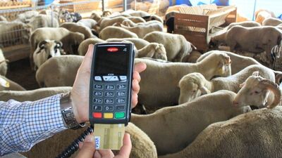 Taksit ya da krediyle kurban kesilir mi?