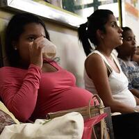 Singapur'da hamilelere Zika uyarısı