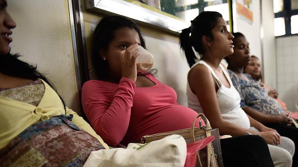 Singapur'da hamilelere Zika uyarısı