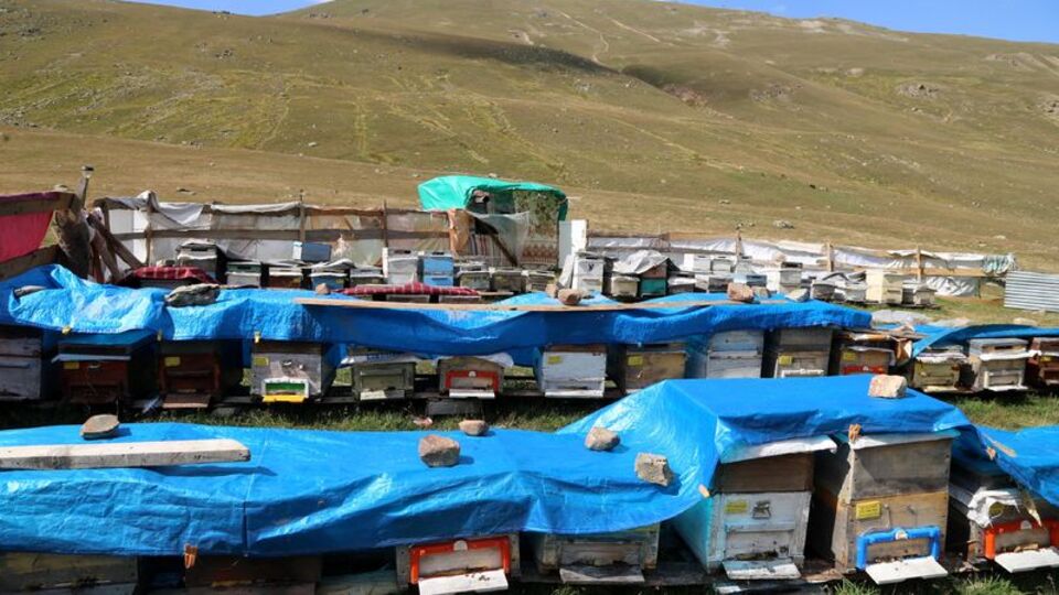 Alıcısı bir yıl önceden sıraya giriyor