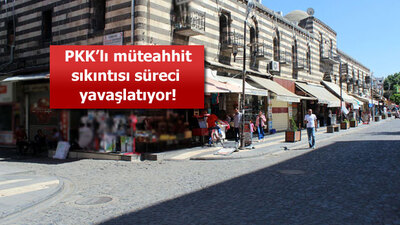 Güneydoğu'nun imarına PKK freni!