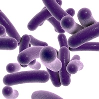 Dikkat bu mikrop kapalı alanları seviyor!