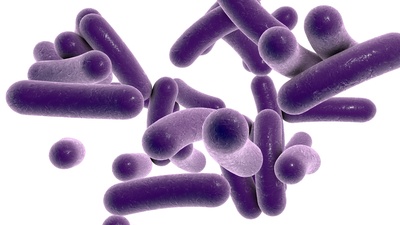 Dikkat bu mikrop kapalı alanları seviyor!