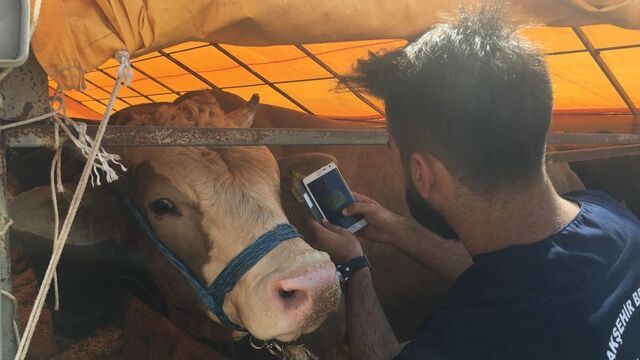 Selfie değil mobil denetim!