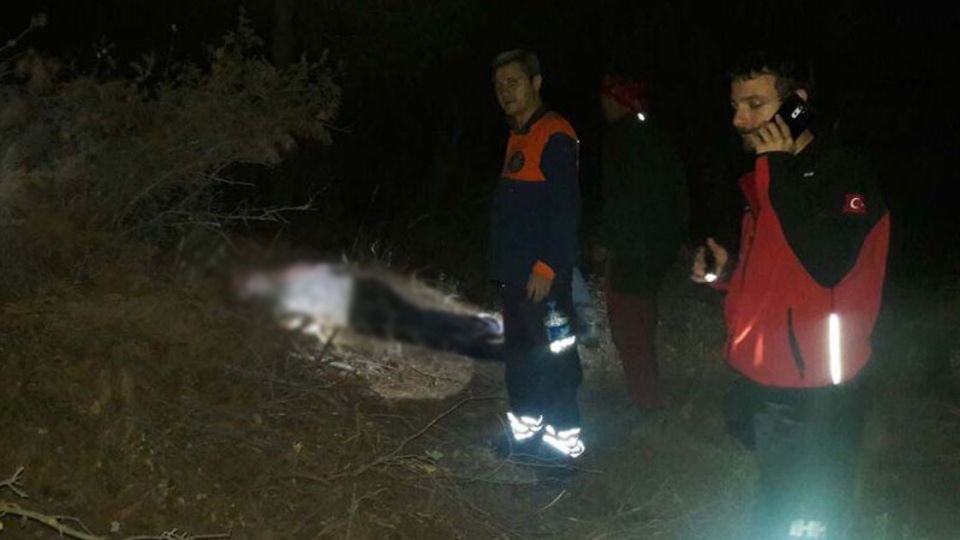 Odun toplamaya gittiği ormanda ölü bulundu