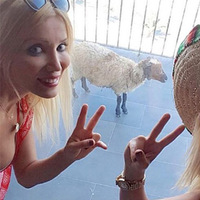 'Cicişler' kurbanlık koyunla tatile gitti!