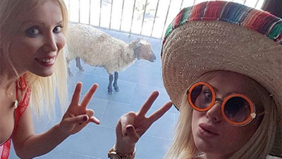 'Cicişler' kurbanlık koyunla tatile gitti!