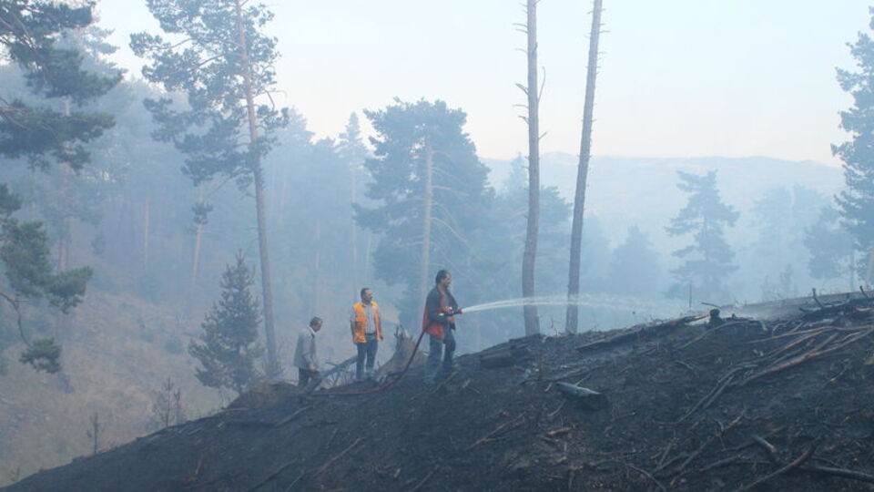 10 hektar ormanlık alan kül oldu
