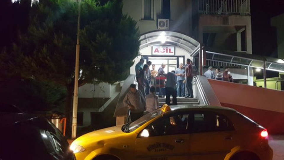 Eşek arısı 60 yaşındaki adamı hayattan kopardı