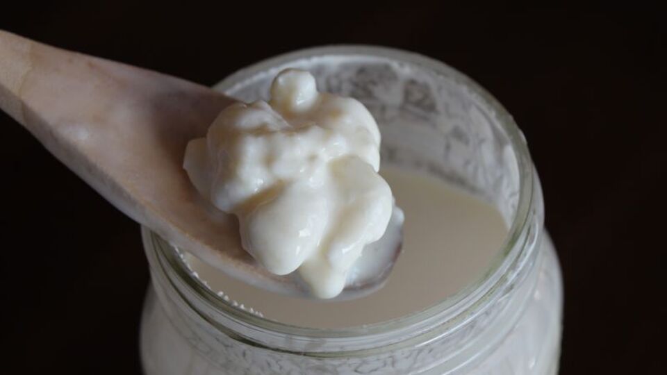 Kafkaslardan gelen hayat iksiri!