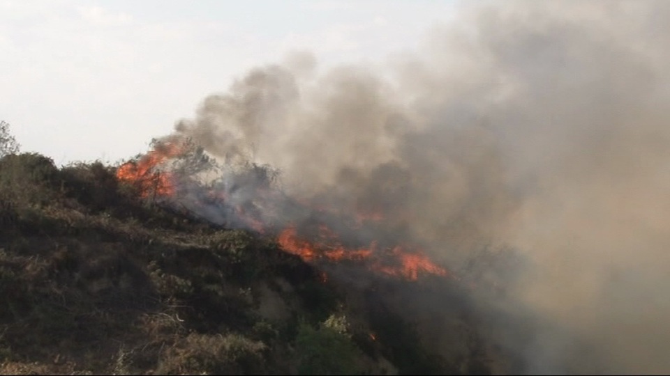 Kemerburgaz ormanlarında yangın!