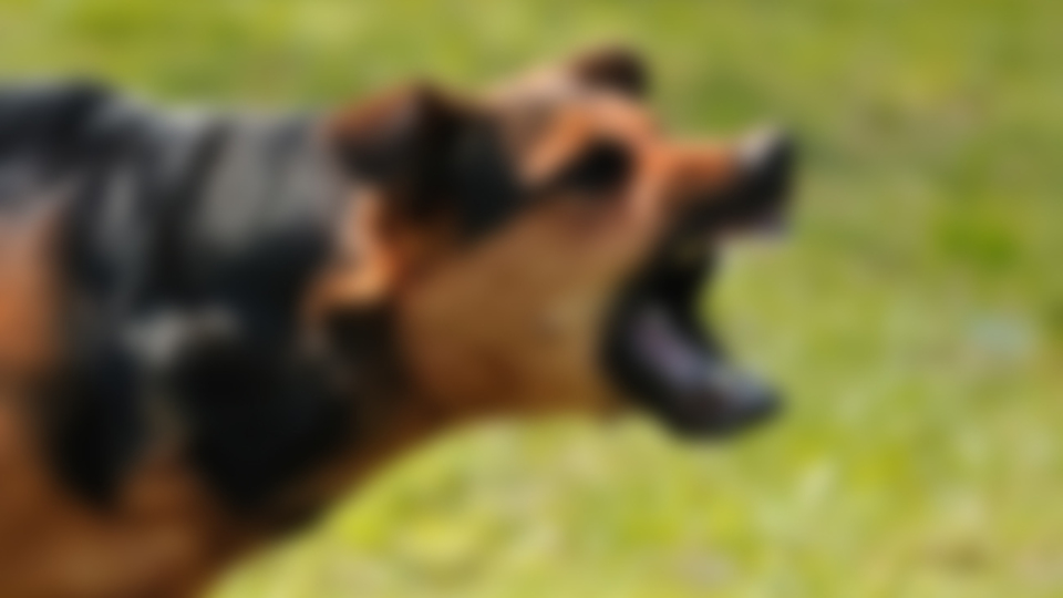 Tabela asıldı, bölge karantinaya alındı