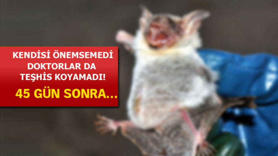 Karaman'da şok eden olay!