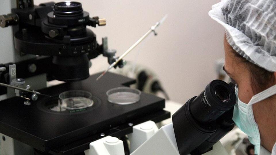 Dünyanın en dayanıklı hayvanının sırrı çözüldü!