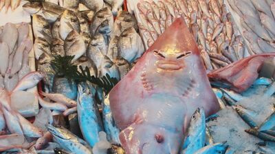 İnsan yüzlü balığa vatandaşlardan yoğun ilgi