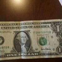 FETÖ'cü yüzbaşı 1 doları böyle savundu!