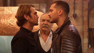 Melek, Sarp'ın çekim alanında