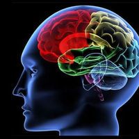 Beyin yaşınızı böyle hesaplayın!