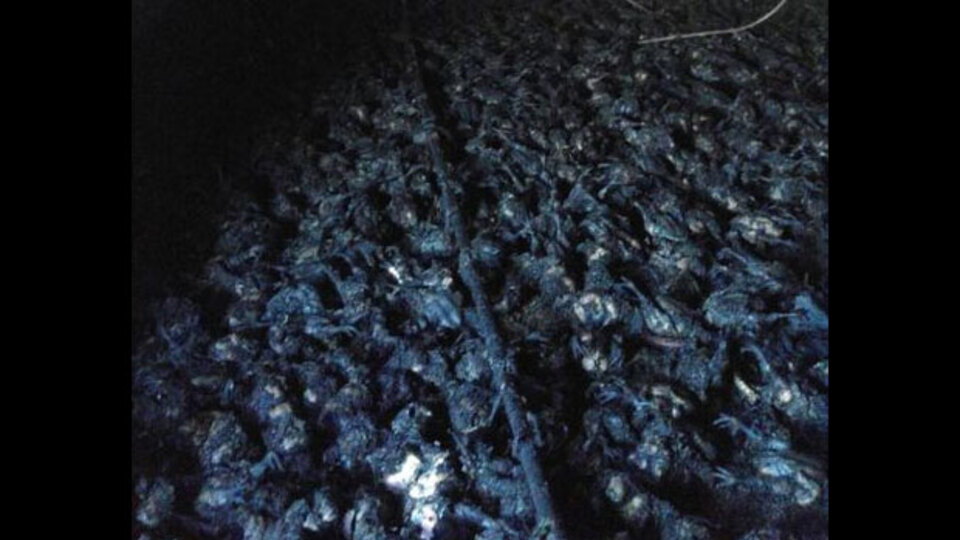 Küçük bir kıvılcım, facia yarattı!