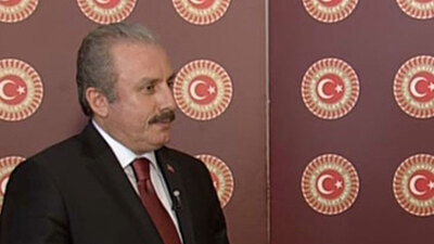 "330 bulunursa 2017 ilkbaharına yetişir"