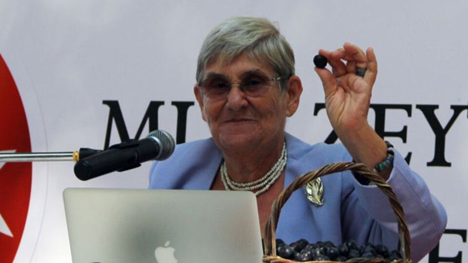 Canan Karatay: Bir tek o ağaç ayakta kalabilecek!