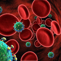 Vücudun bağışıklık sistemi kansere kalkan oluyor