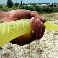 Yargıtay'dan ilginç karar!