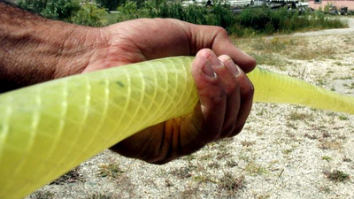 Yargıtay'dan ilginç karar!