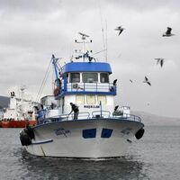 Balıkçıların hamsi heyecanı başladı