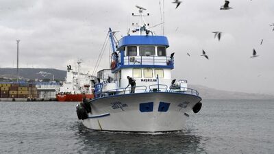 Balıkçıların hamsi heyecanı başladı