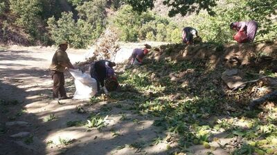 Bu işi yapana mühendis maaşı ödeniyor