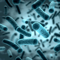 Vücudumuzdaki yeni organ!