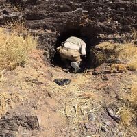 O ilde 463 terörist öldürüldü!