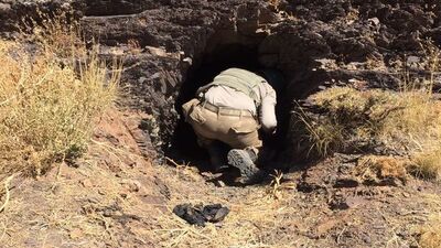 O ilde 463 terörist öldürüldü!