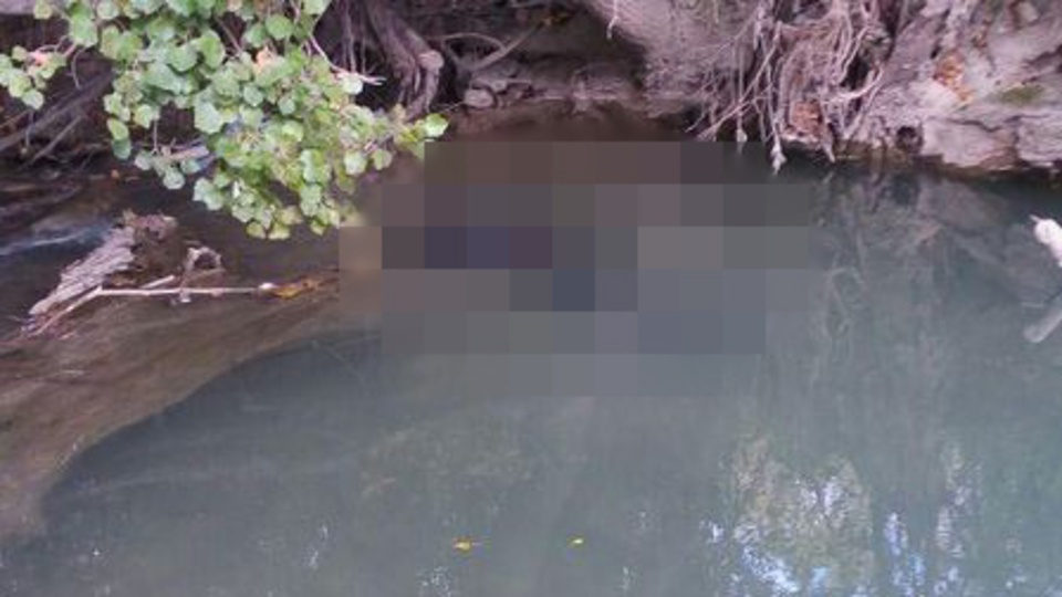 Pikniğe gelenler derede ceset buldu