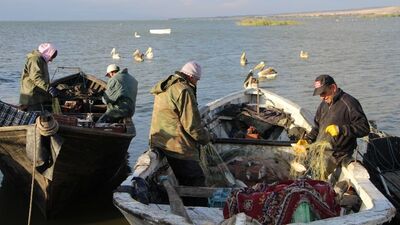 Manyas Gölü balıkçılarının gözü o ülkede!