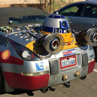 Görenler şaşkına döndü!