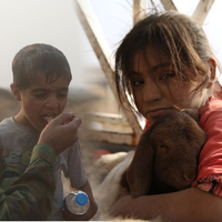 Musul'da insanlık dramı!