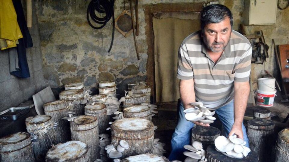 Bodrumunda yapıyor, internetten satıyor!