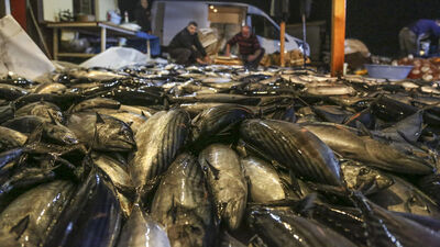 Av yasağı kaldırıldı, vatandaşın yüzü güldü!