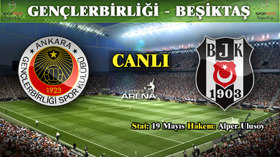 Kartal, Ankara'da buz kesti!