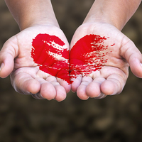 Organ bağışına Diyanet'ten destek