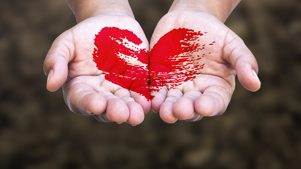 Organ bağışına Diyanet'ten destek