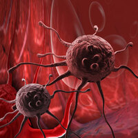 20'den fazla kanser türüne neden oluyor!