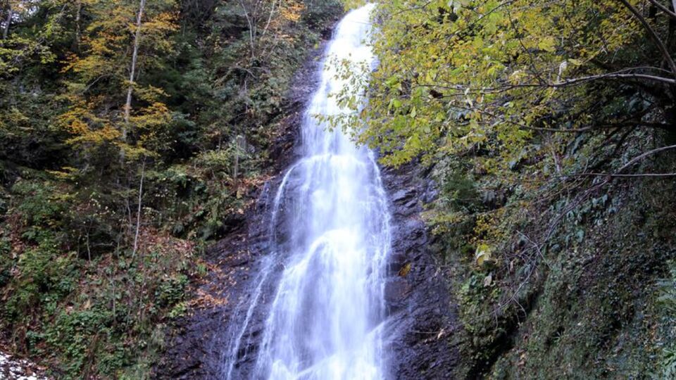 "Tabiat anıtı" olarak tescillendi