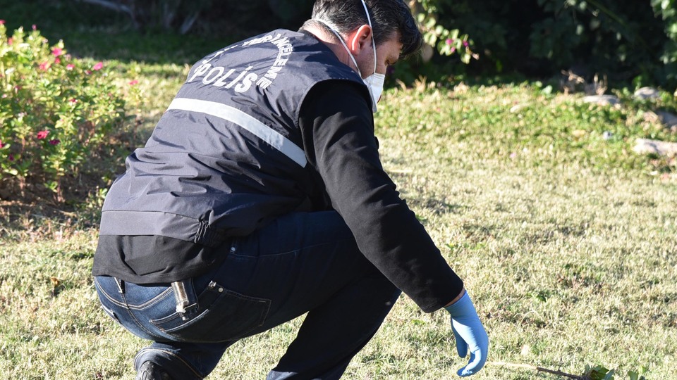 Antalya'da kedi katliamı