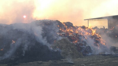 Tekirdağ'da korkutan yangın